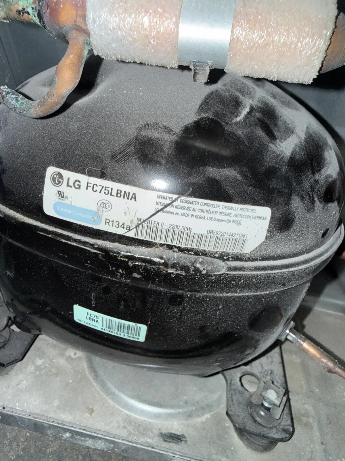 An LG refrigerator compressor with some visible rust and insulation
