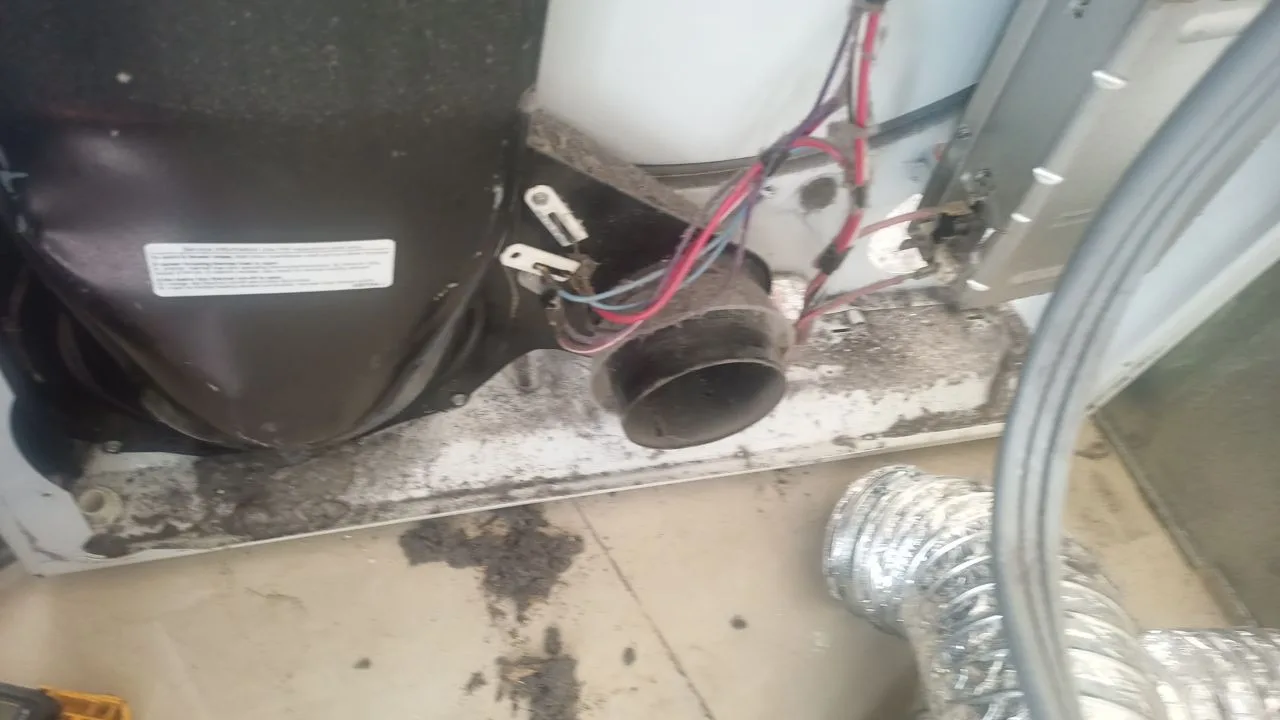 Dryer drum belt and roller service — Berne Appliance Repair