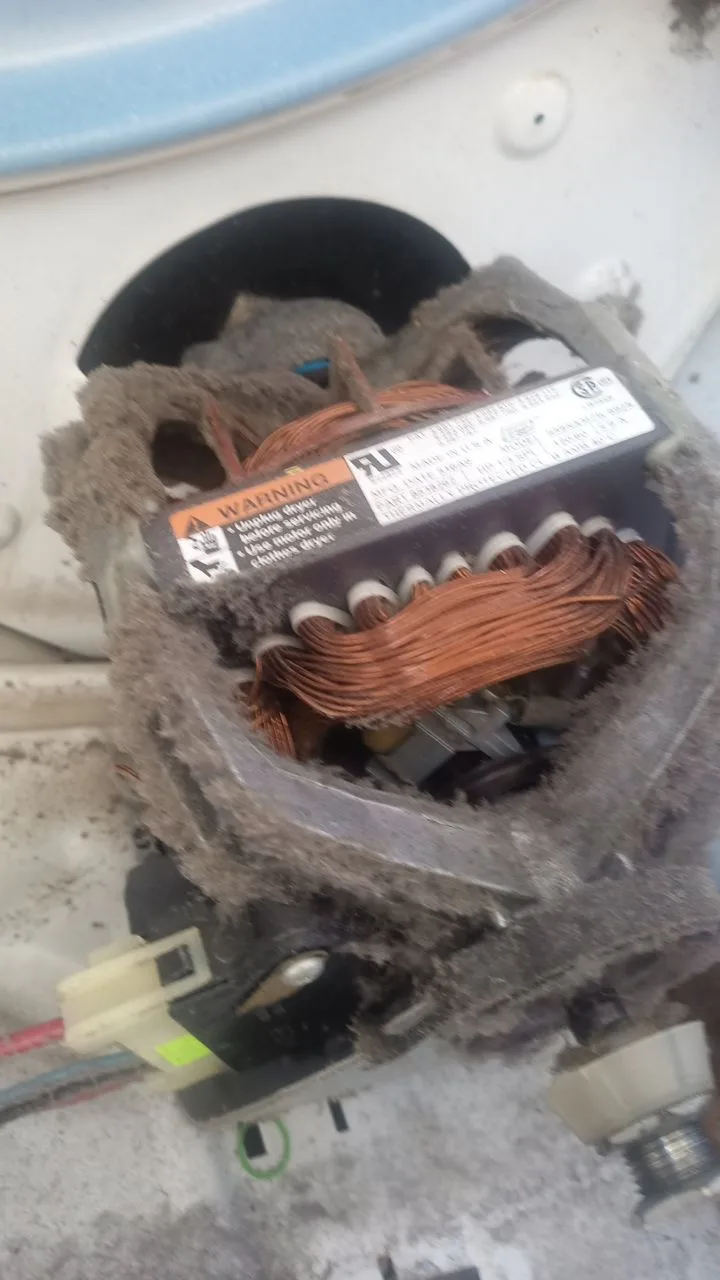 Gas dryer igniter and burner inspection by a Berne technician